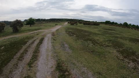 Drone footage if Deers Leap New forest. Speedlapse