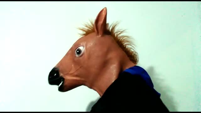 Say Hi To The Niggas Horse