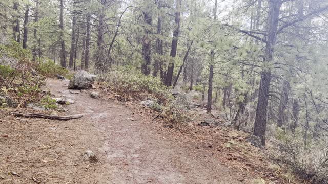 Hiking on the Very Wet Deschutes River Trail – Central Oregon – 4K