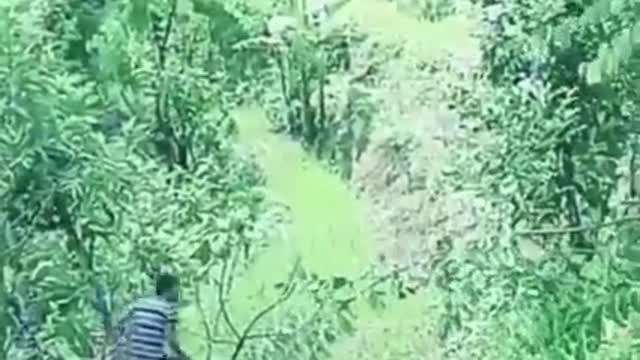 Funny videos