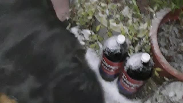 Doggo Peeks from Deep Snow during Outside Break