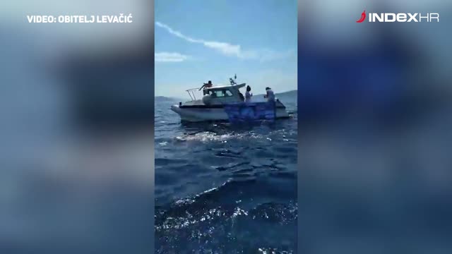 Dina Levačić pliva od Visa do Splita