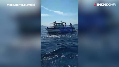 Dina Levačić pliva od Visa do Splita