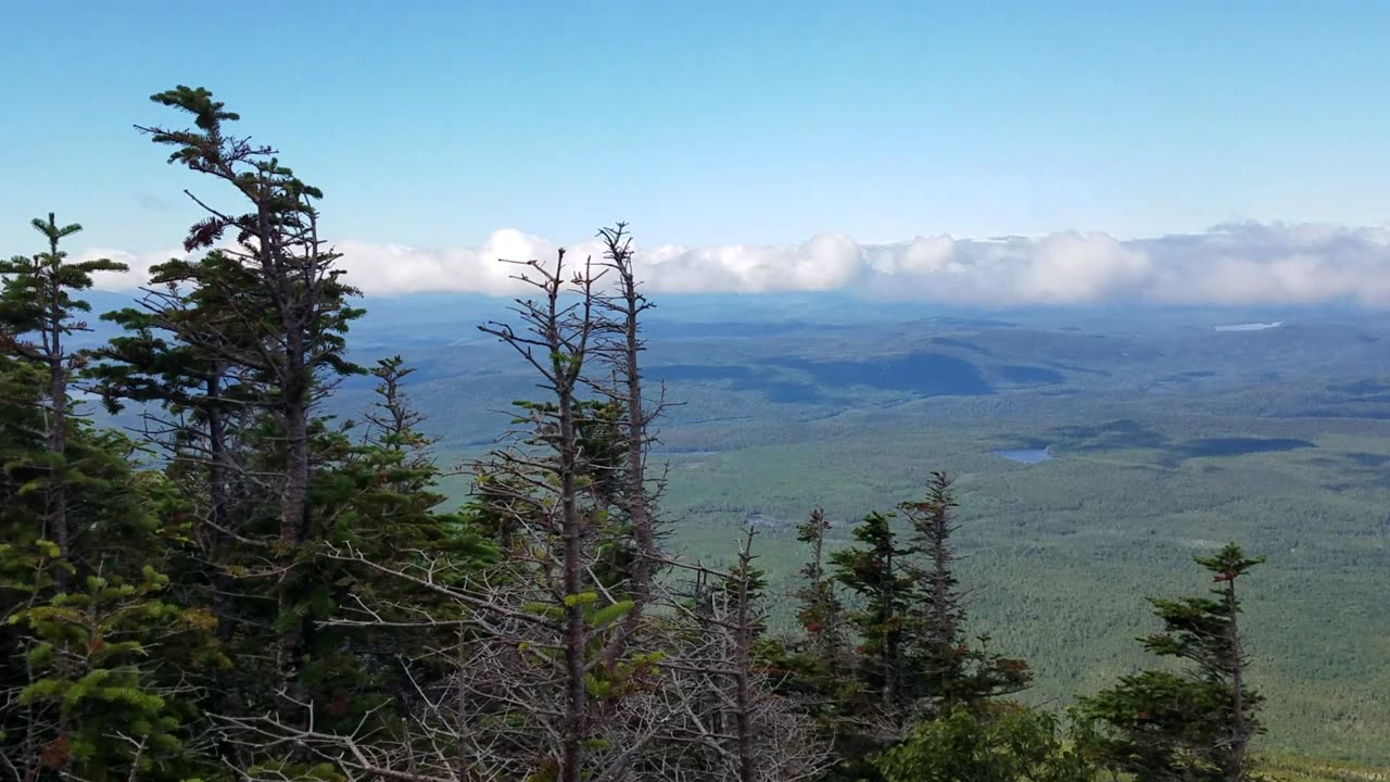 Along the Hunt Trail, Mt. Katahdin, ME (2017 JUL 28)