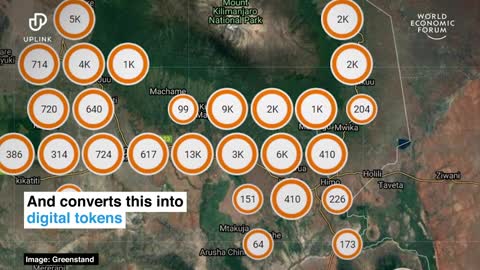 This app let's people earn money by growing trees|Ways to help the planet