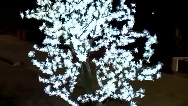 tree in white lights