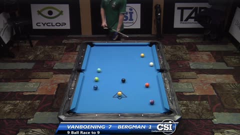 Justin Bergman vs Shane Van Boening ▸ 2014 US Bar Table 9-Ball Championship