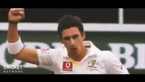 Mitchell starc status