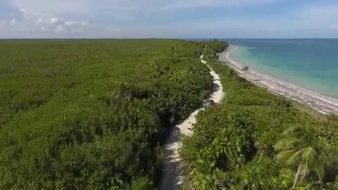 Nature video