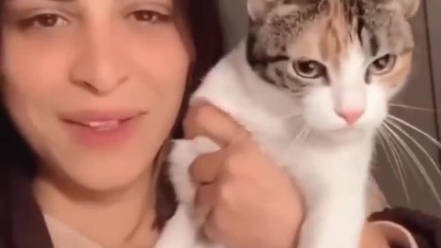Whose little cat is this? It's so cute. Actually, I don't like it very much.