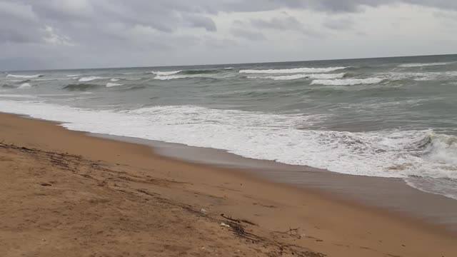 Our beaches