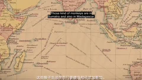 Gaia TV Show Initiation S1EP13 Deep History of Atlantis and Mu 亞特蘭提斯與姆大陸的深刻歷史
