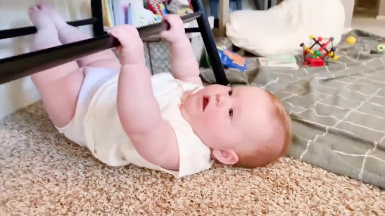 Adorable babies playing with dogs