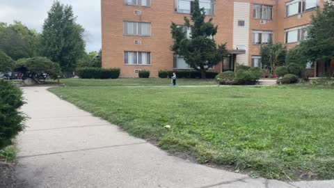 Kid riding scooter