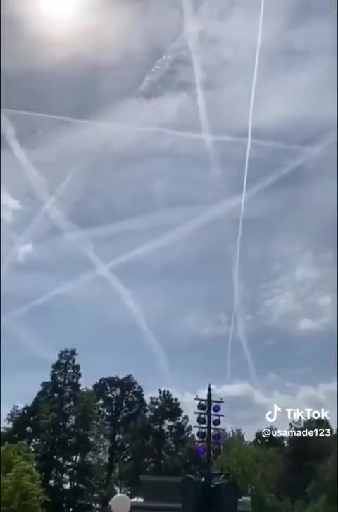 Non fanno nulla per caso