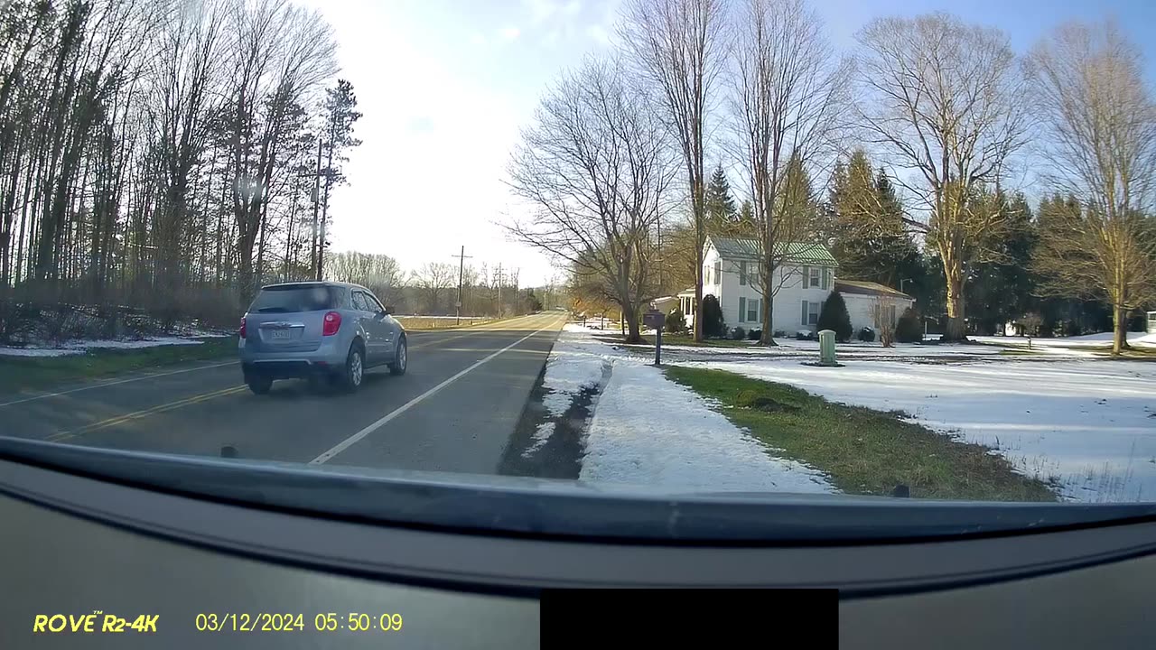 Turkey Flies into Windshield