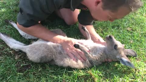 Cute but extremely dangerous animals. Some might shock you