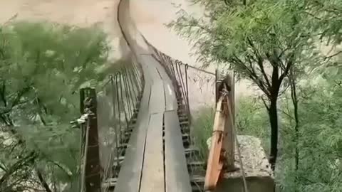 anyone dare to cross this bridge