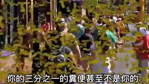 “必須注意”_寄生蟲對我們的影響？包括睡眠、身體各種問題與不適、情緒、慾望和想法！重視“清潔和除蟲”，是正確的保護法！