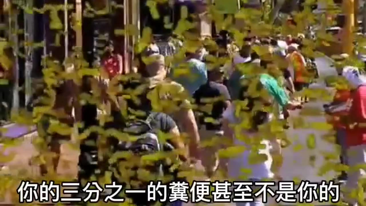 “必須注意”_寄生蟲對我們的影響？包括睡眠、身體各種問題與不適、情緒、慾望和想法！重視“清潔和除蟲”，是正確的保護法！