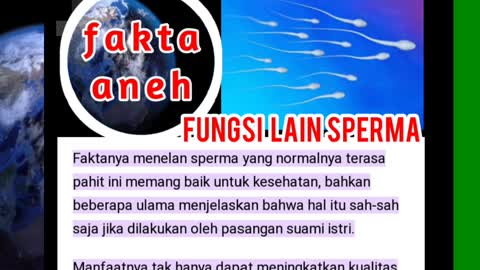 Fungsi lain sperma yang belum kamu ketahui