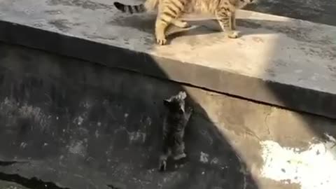 NOBODY LEFT BEHIND