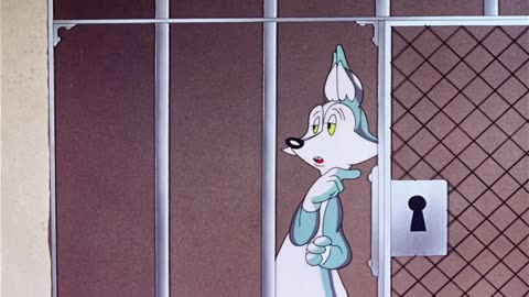 Fox Pop