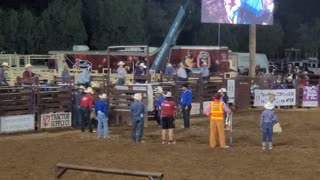 Mutton Busting 2021