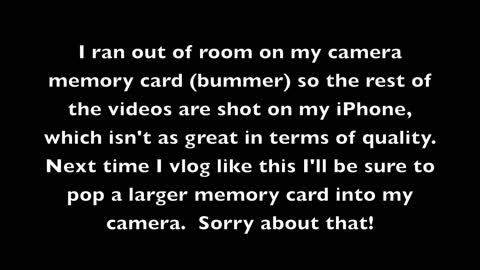 Birthday Vlog: January 28, 2012 (2012-02-02)