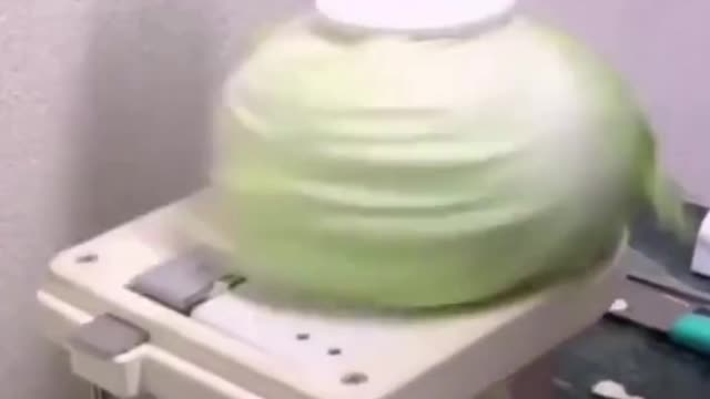 Vegetable slicer