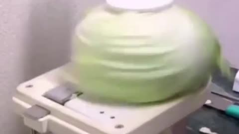 Vegetable slicer