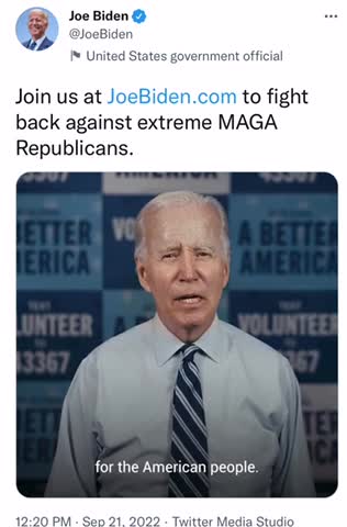 Joe Biden, or Not Joe Biden. That is the Question. Who the Hell is This Guy?