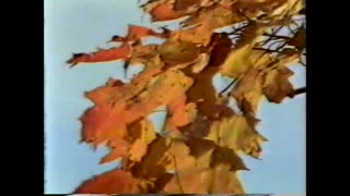 October 27, 1985 - Charles Kuralt Closes 'Sunday Morning' With a Look at Fall Foliage