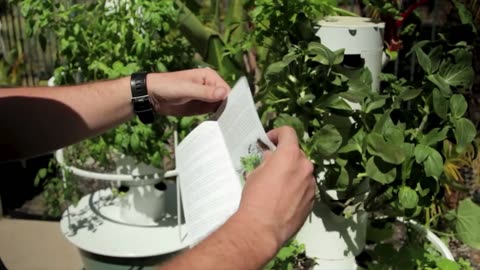 Grow Your Own: Honest Tower Garden Review 🌱 | Fresh Produce Year-Round