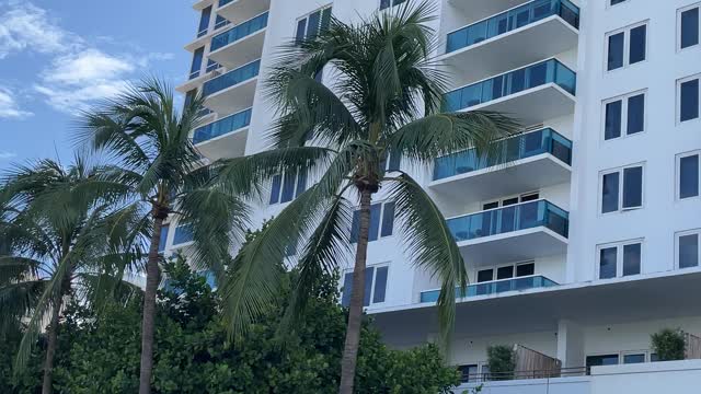 1 Hotel 2342 Collins Avenue Miami Beach - Driving Miami