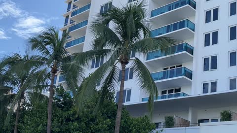 1 Hotel 2342 Collins Avenue Miami Beach - Driving Miami