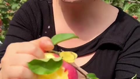 The apple is very fresh and crunchy - For fruit lovers #satisfying#2