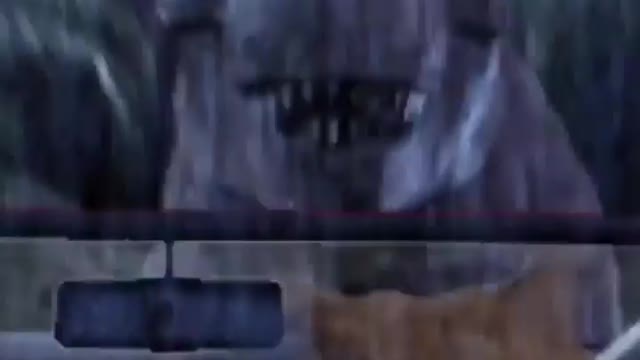 "What the meow!!!!!🙀🙀🙀🦖