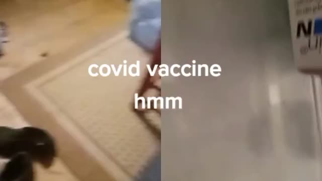 Covid Vaccine Leaflet