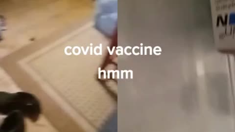 Covid Vaccine Leaflet