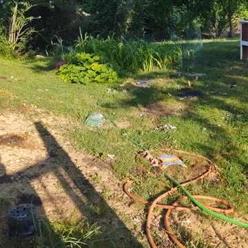 Backyard garden update