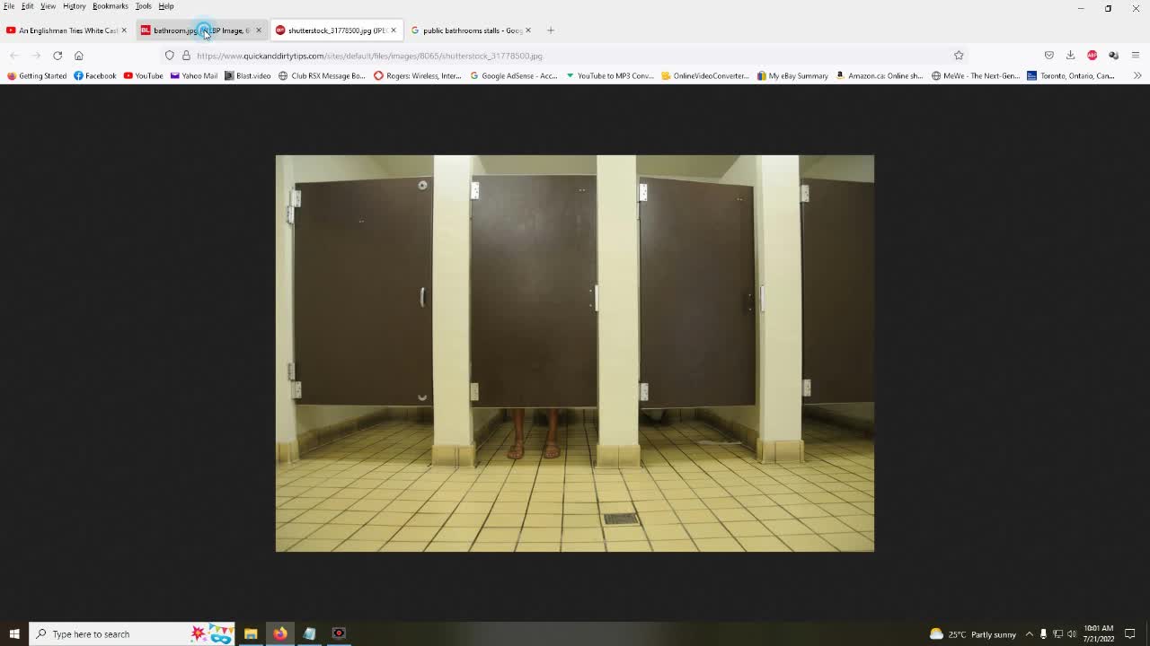 North American bathrooms are designed by pedo's