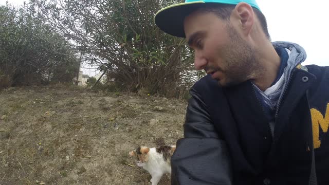 Cats - The guardians of Malta - The rare Skorba Temple