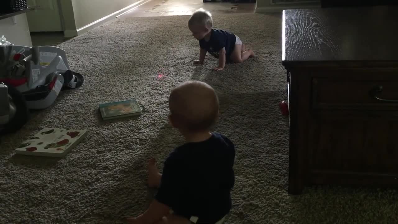 Twins mesmerized by laser dot, chase after it