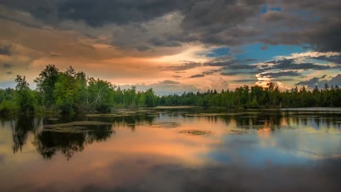5 Hours of Relaxing Music Sound of Running Water, Birds Relax, Calm and Sleep