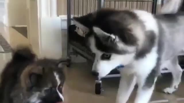 Stop drinking, give me a drink