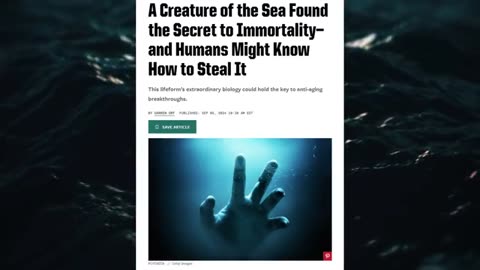 Secret Islands of the Elite Blink Twice with Your Eyes Wide Shut