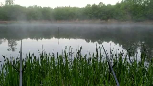 river fishing for carp