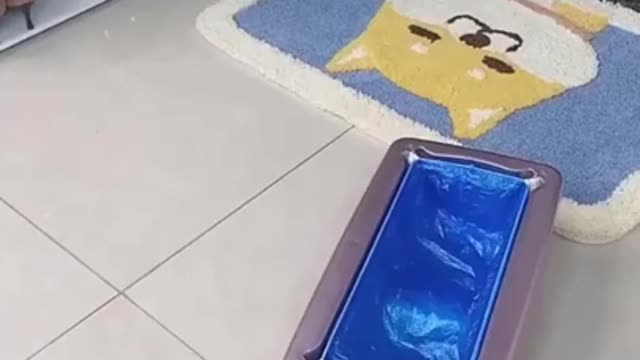 fun video