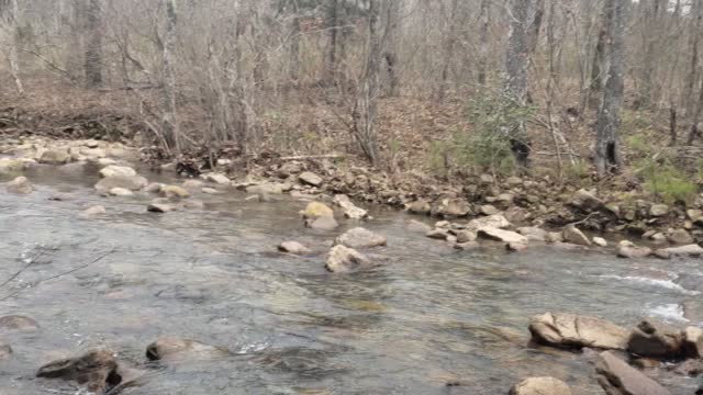 More water and forest
